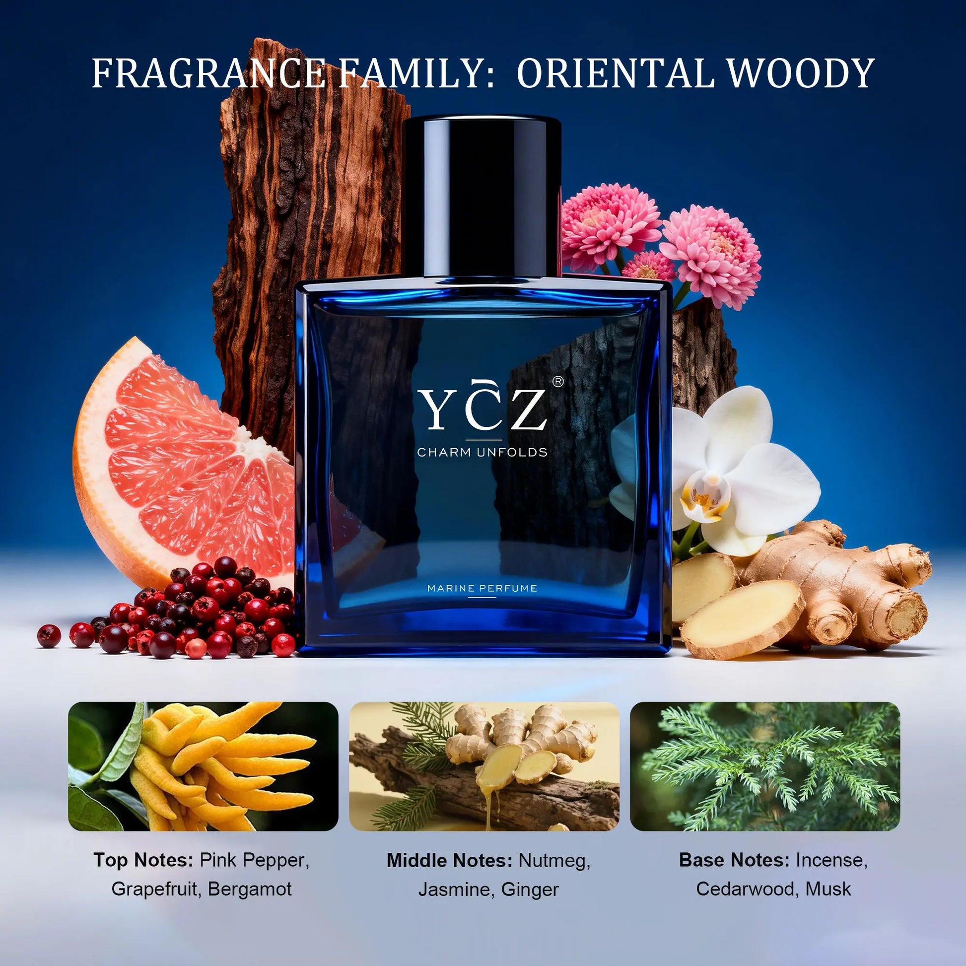 YCZ Midnight Marine Eau De Parfum 50Ml Unisex | Aromatic Aquatic Ocean Fresh Woody Perfume with Bergamot Coconut Amber | Long Lasting Luxury Arabian Fragrance for Men Women | Premium Gift/Ycz Cologne
